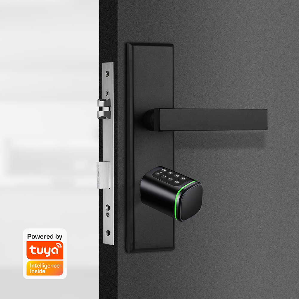 스마트 실린더 잠금 장치 Tuya 60-90mm 전기  - Home Security Essential 리뷰 및 가격